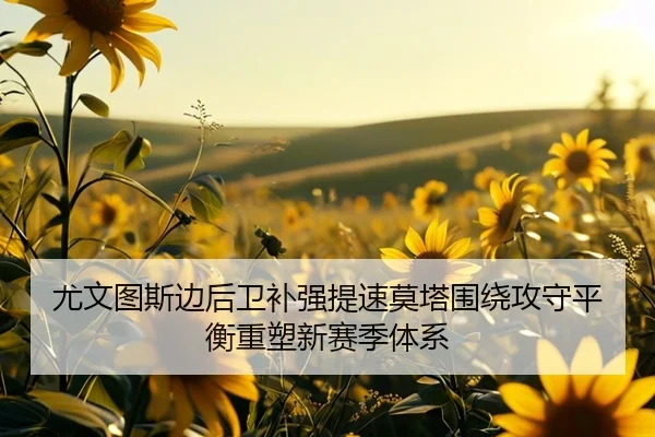 尤文图斯边后卫补强提速莫塔围绕攻守平衡重塑新赛季体系（pg）